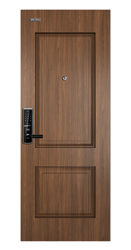 Apartment steel door